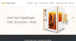 Desktop Screenshot of fagepszer.hu